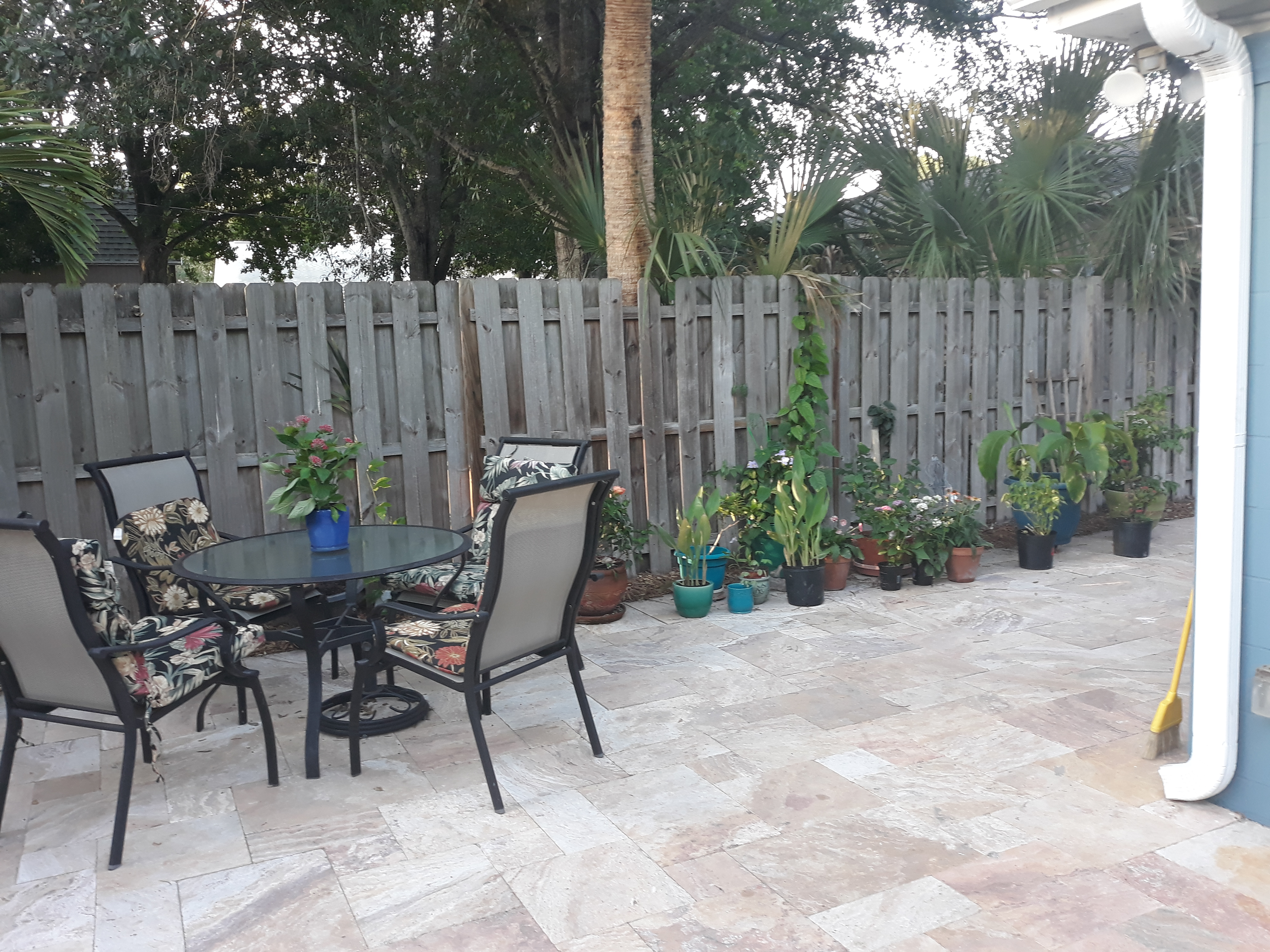 The patio has table and chairs and various plantings
